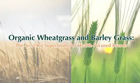What is the difference between wheatgrass powder and barley grass powder?